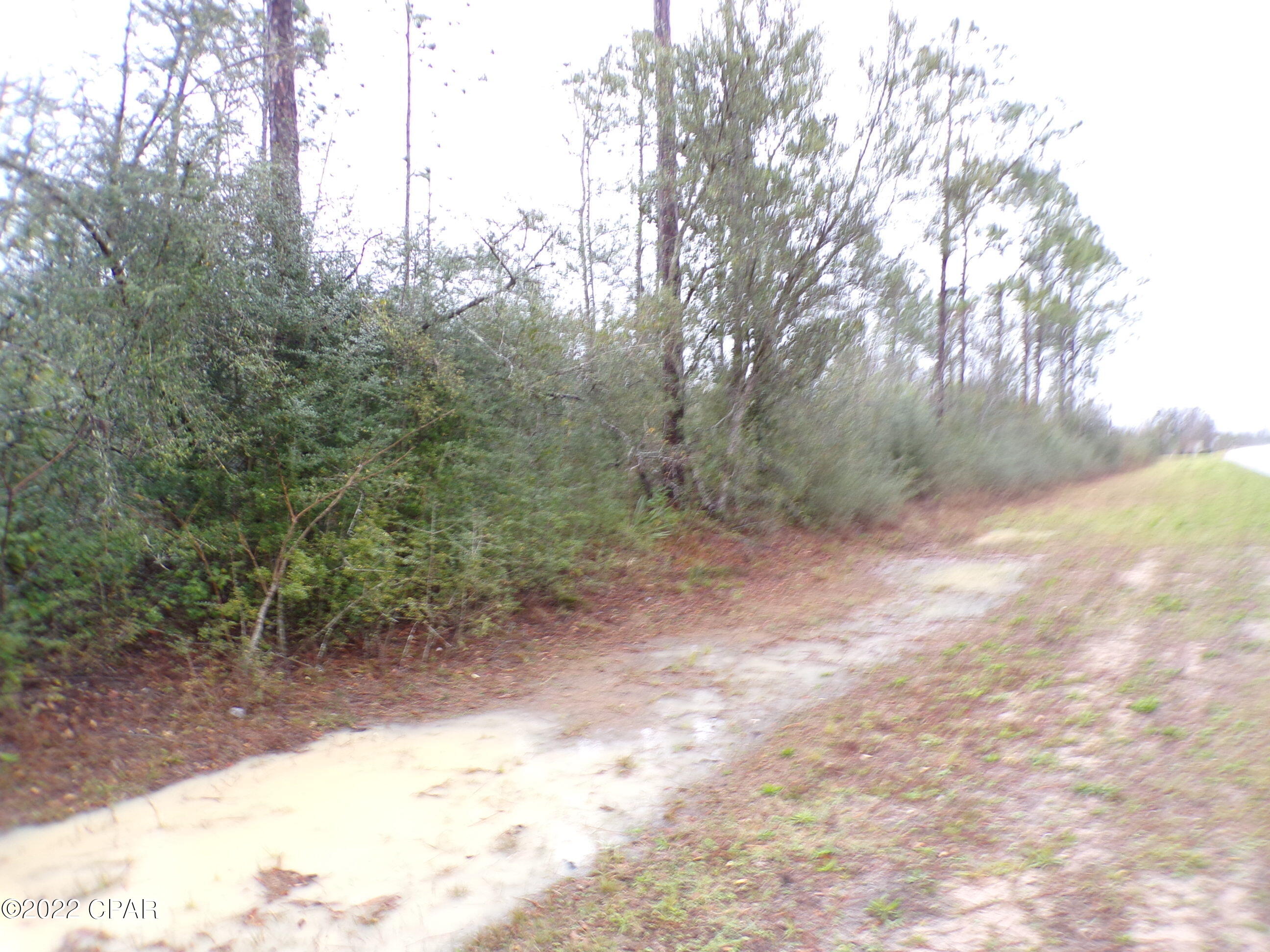 E Hwy 20, Youngstown, Florida image 8