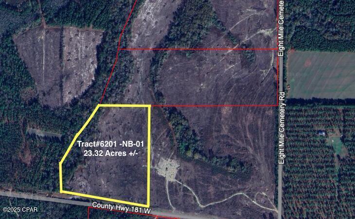 Tract#6201 W Co Hwy 181 Nat B-01 #23.32 +/- AC, Defuniak Springs, Florida image 1