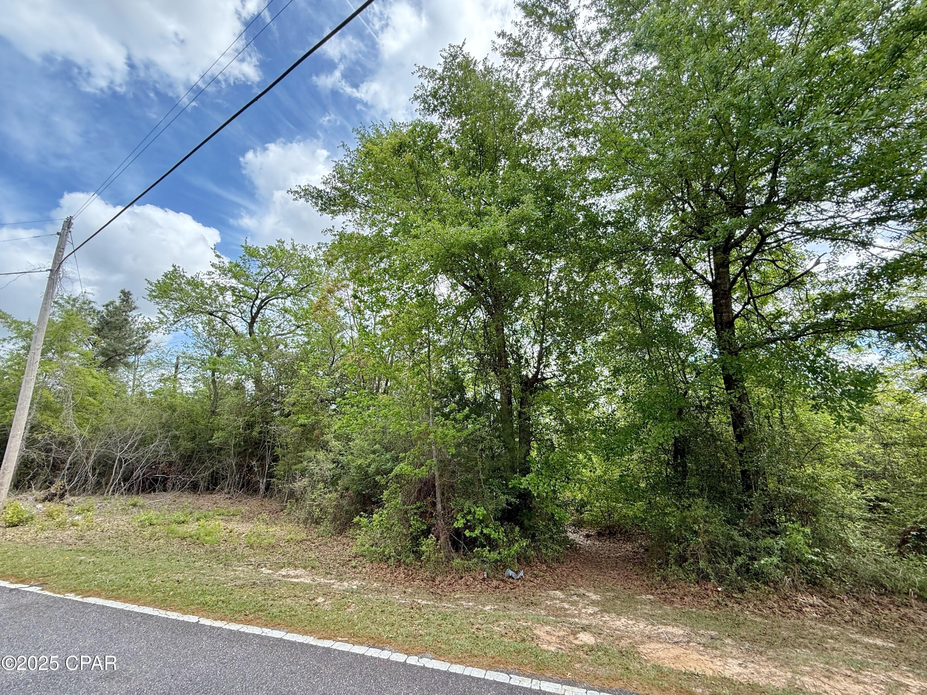 00 Mashburn Road, Marianna, Florida image 4