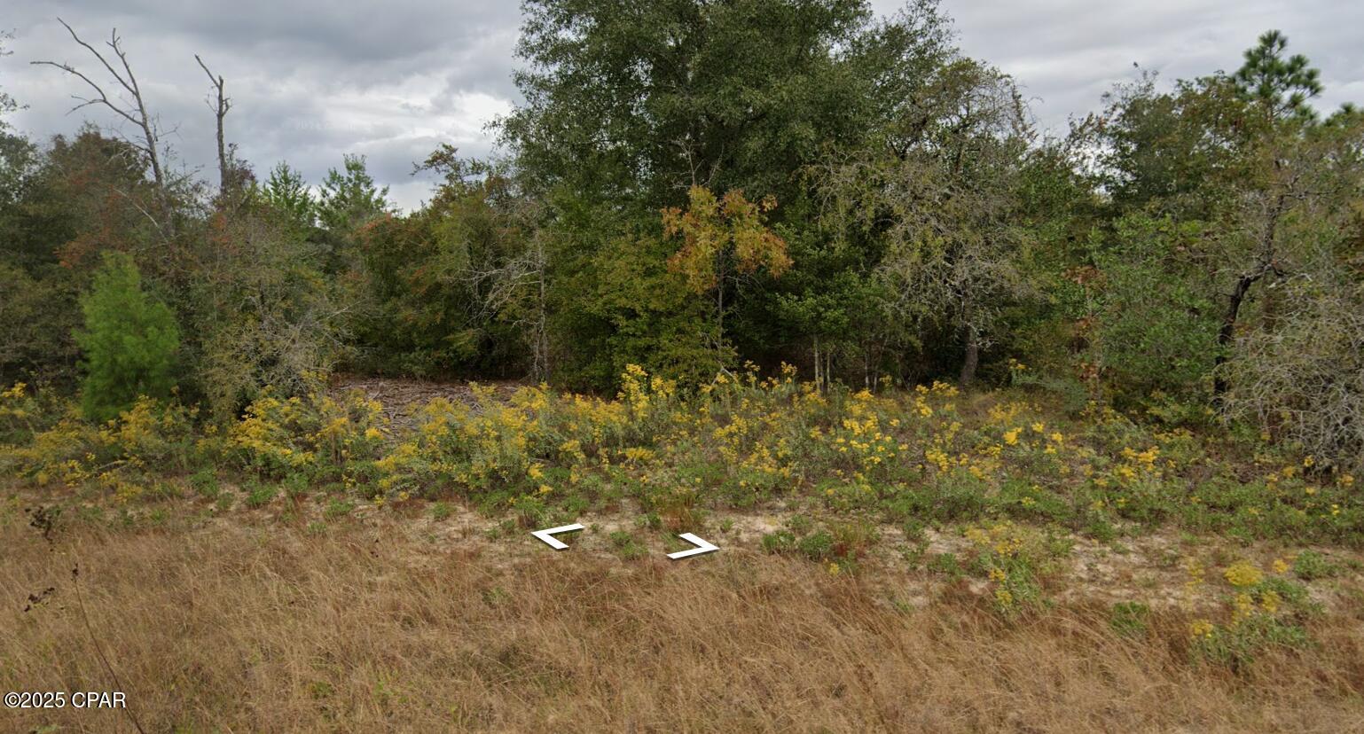 Lot 10 Pennington Drive, Chipley, Florida image 1
