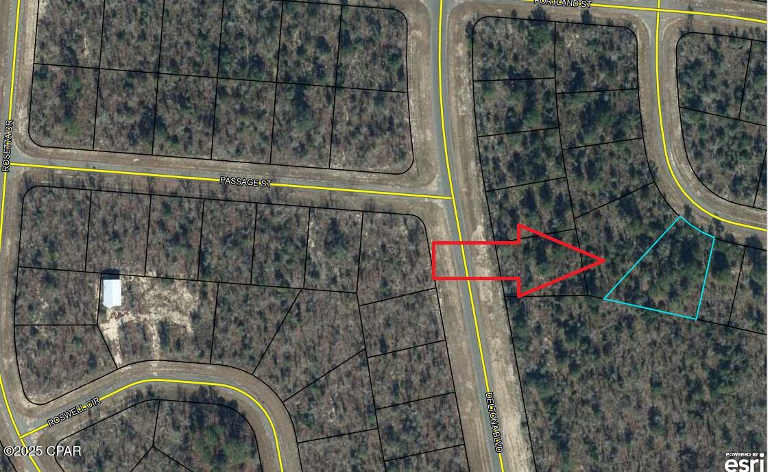 Lot 10 Pennington Drive, Chipley, Florida image 2