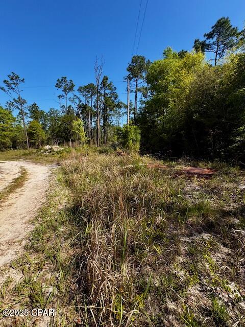 TBD Akers Trail, Chipley, Florida image 2