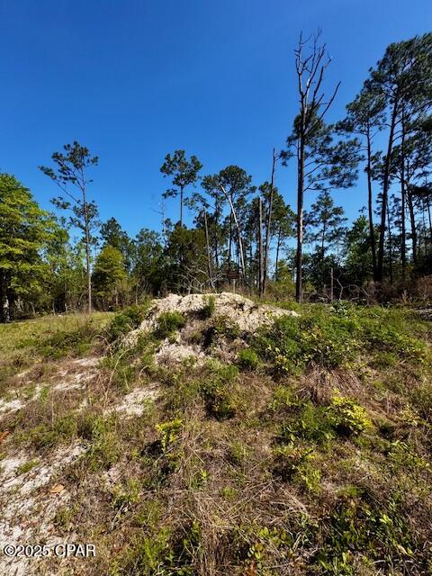 Image 3 For Tbd Akers Trail