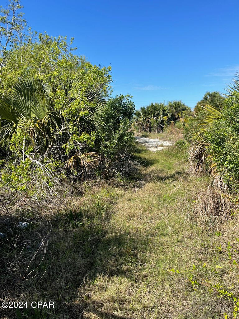 10 Americus Avenue, Port St. Joe, Florida image 2
