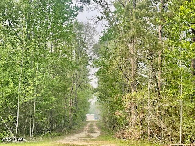 18989 SE Wrennie Moody Road, Blountstown, Florida image 23