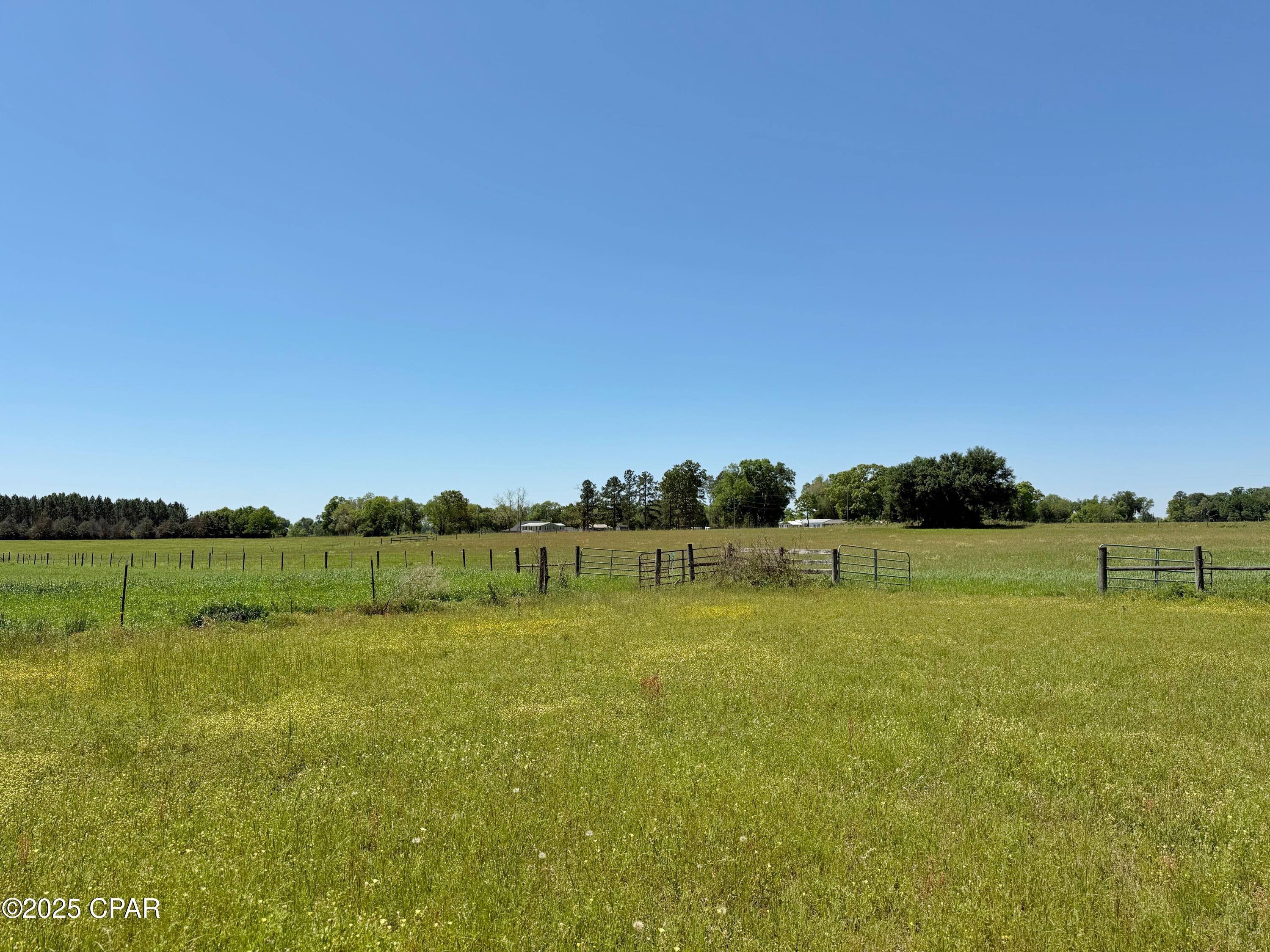 6491 Wolf Pond Road, Bascom, Florida image 46