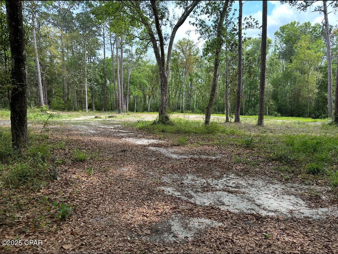 378 S Turkey Avenue, Wewahitchka, Florida image 1