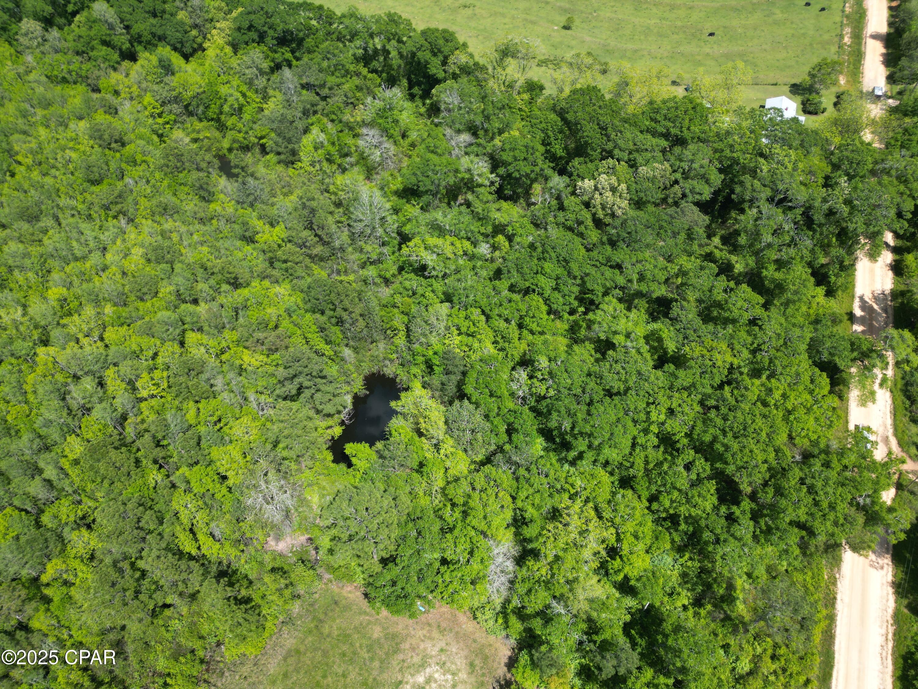 0000 Aj Steverson Road, Bonifay, Florida image 1