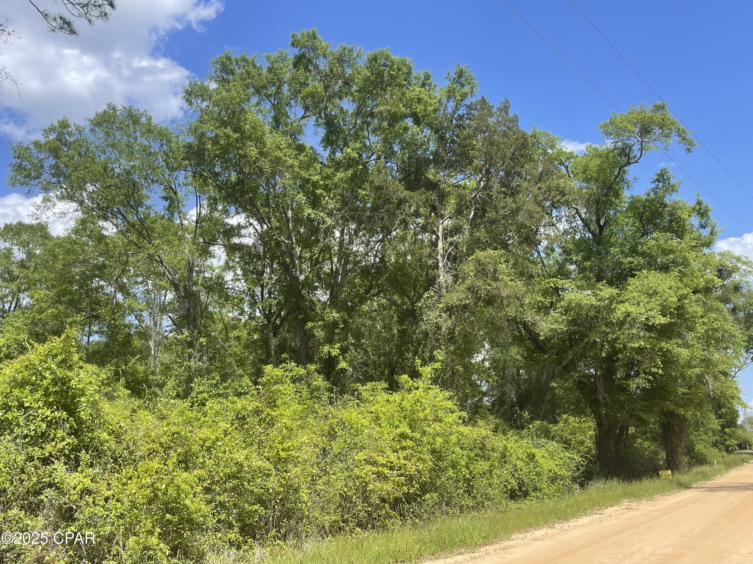 0000 Aj Steverson Road, Bonifay, Florida image 12