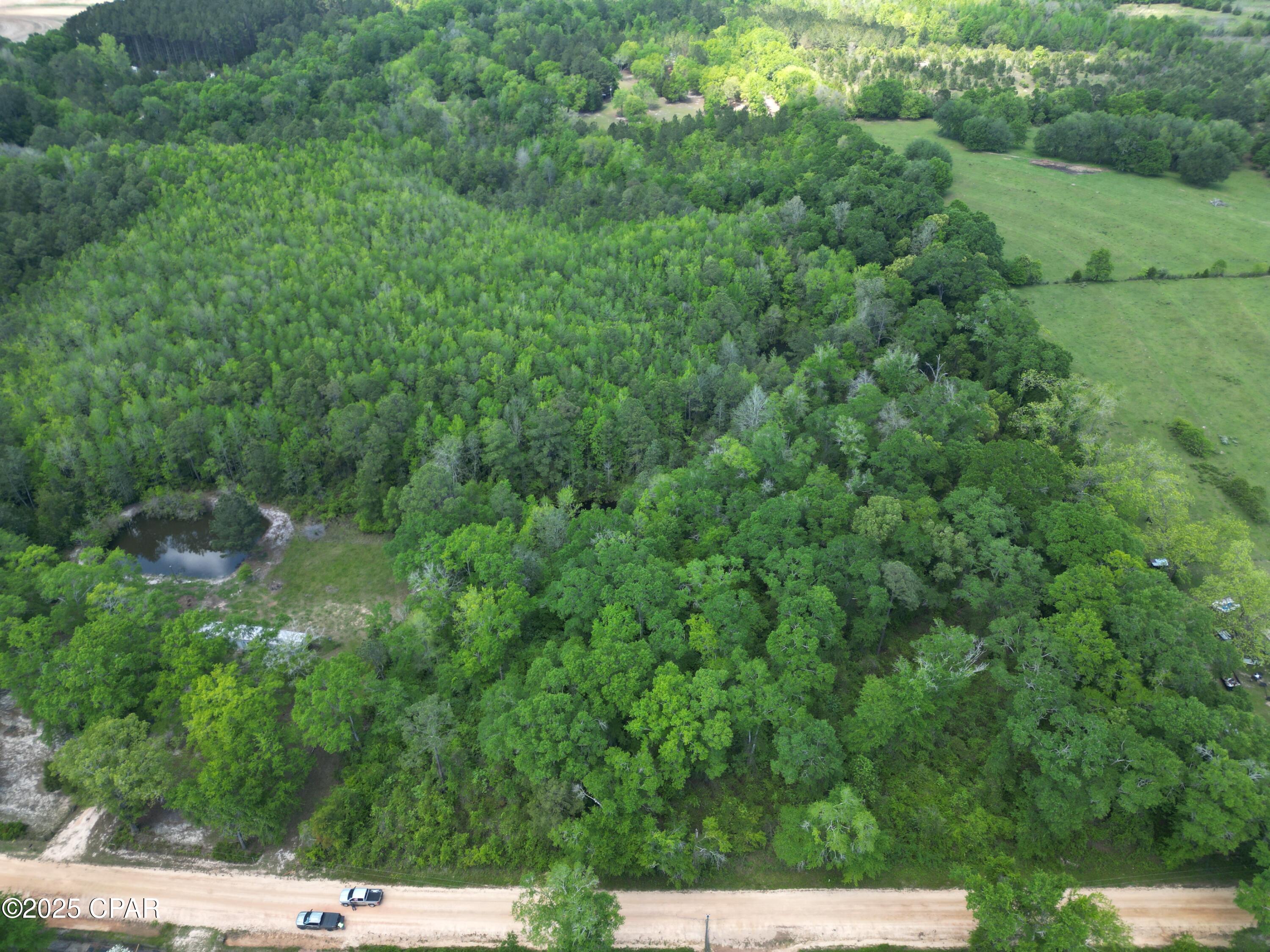 0000 Aj Steverson Road, Bonifay, Florida image 7