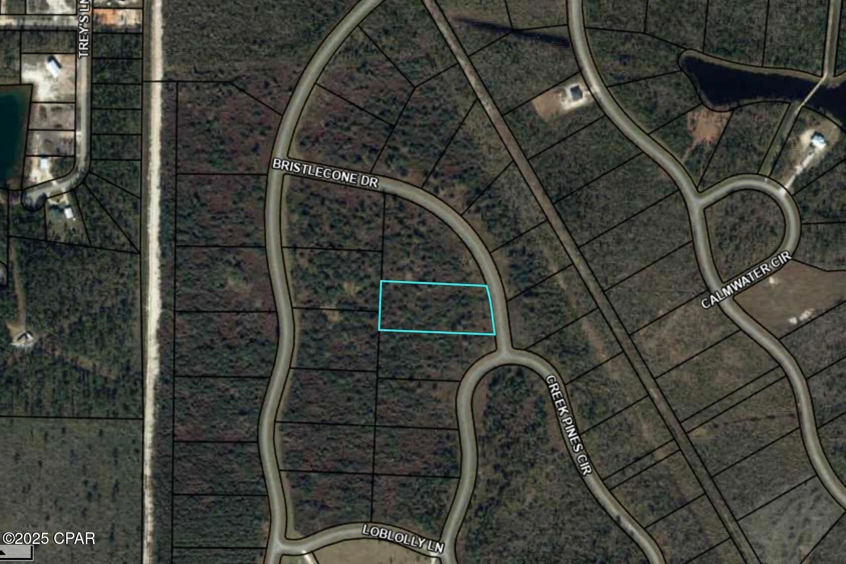 110 Bristle Cone Drive, Wewahitchka, Florida image 2