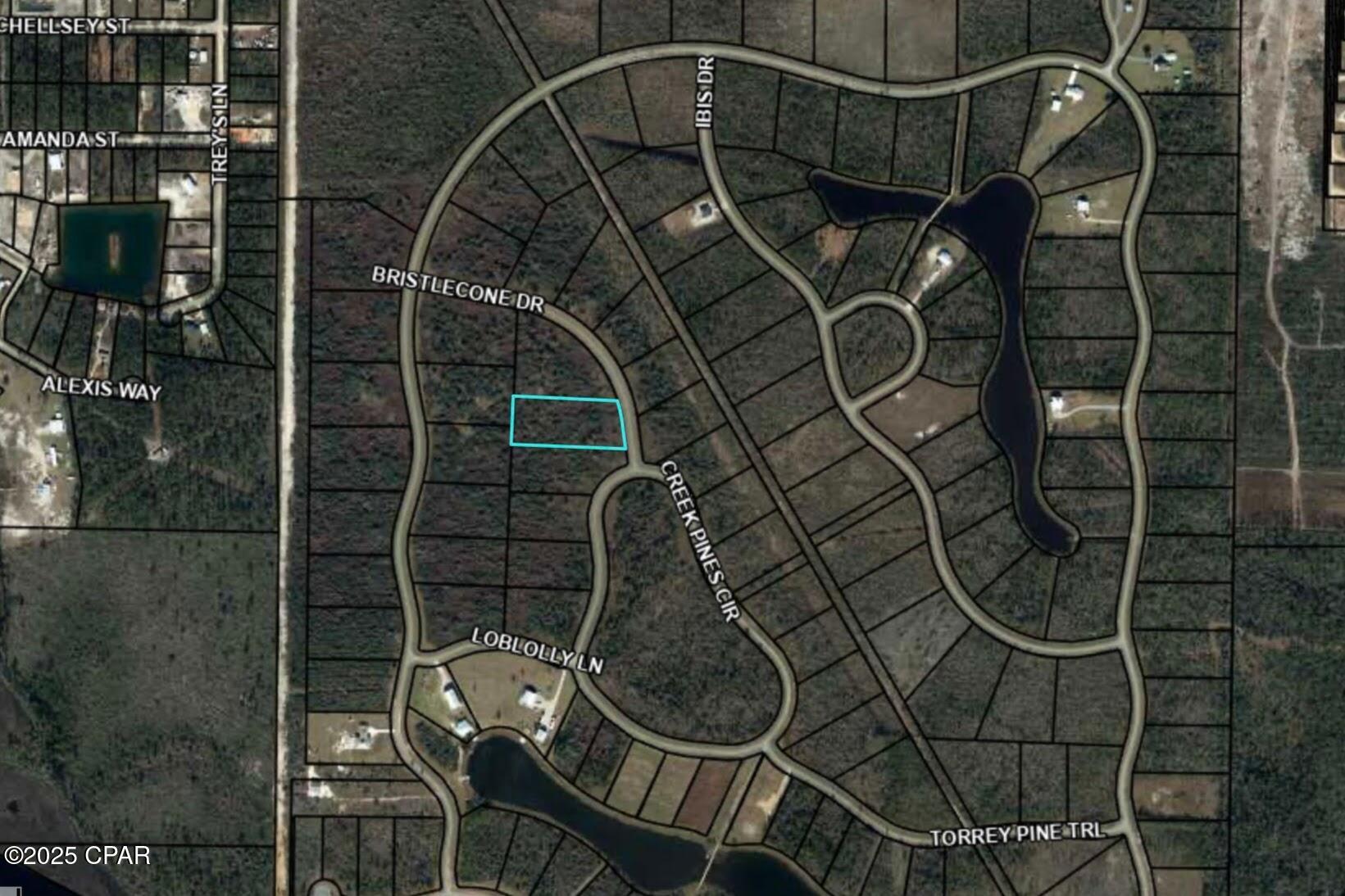 110 Bristle Cone Drive, Wewahitchka, Florida image 3