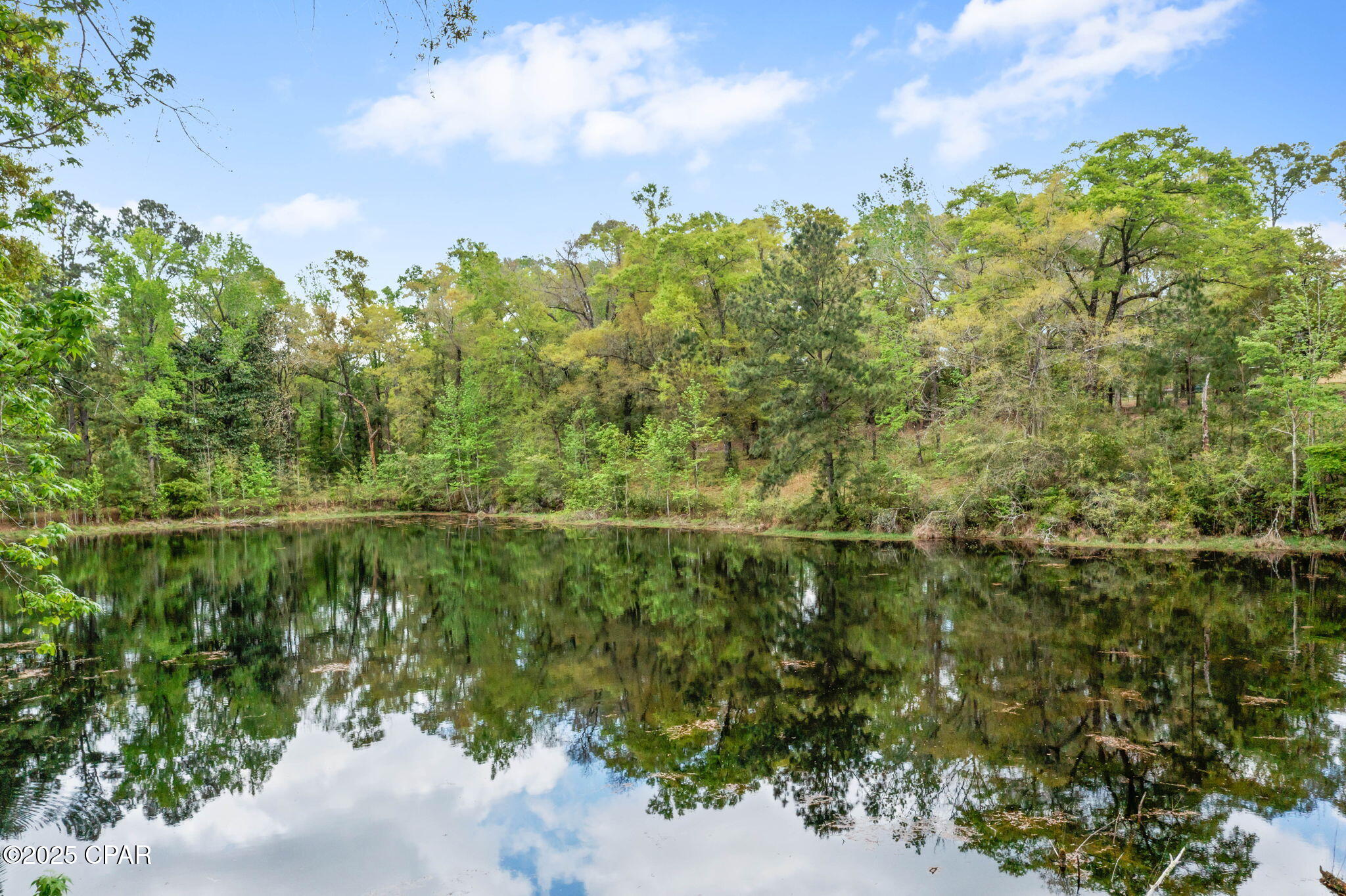 Image 2 For 3426 Spring Lakes Drive