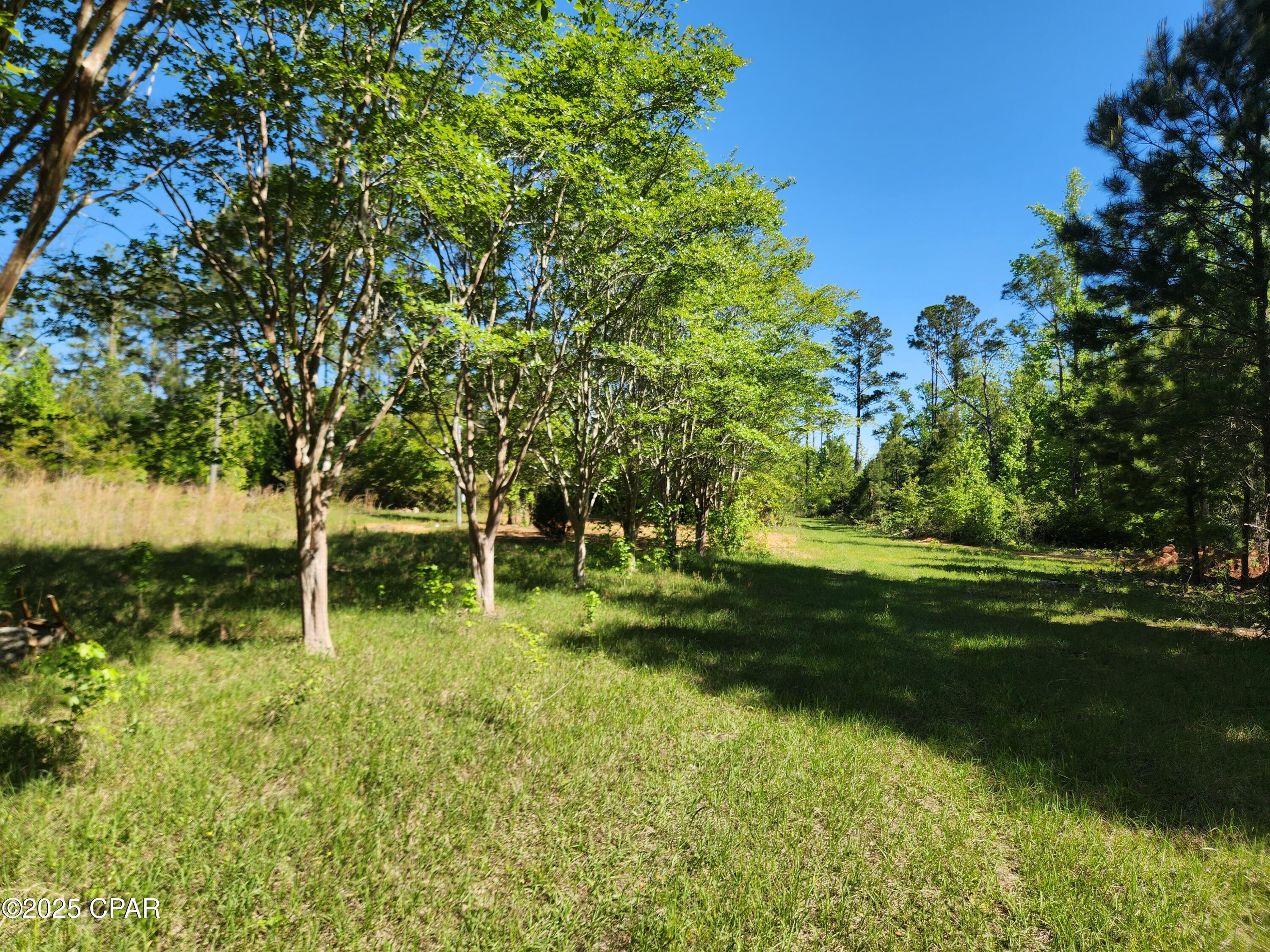 Details for 19265 Wrennie Moody, Blountstown, FL 32424