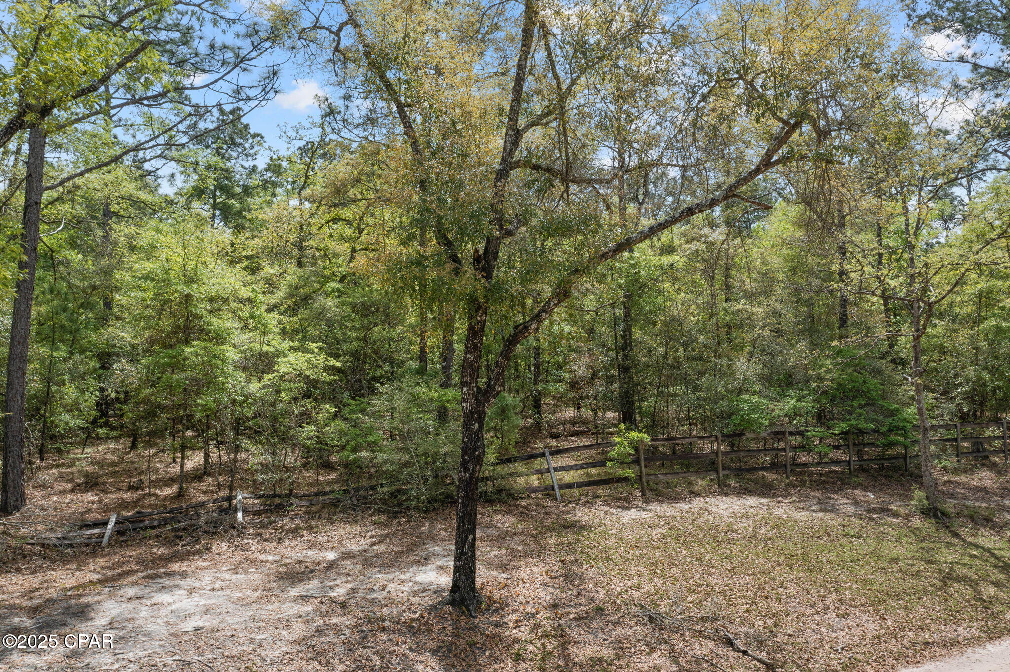 XXX Spring Lakes Road, Chipley, Florida image 11