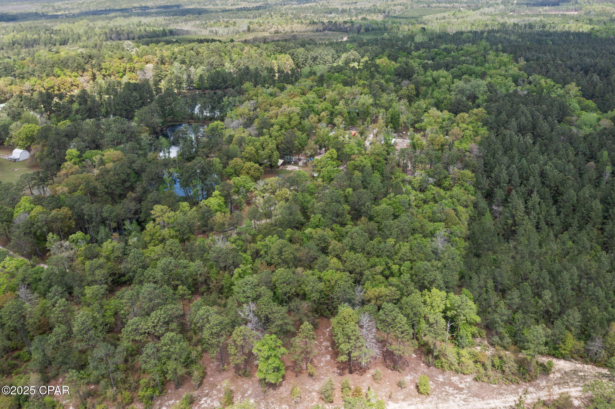 XXX Spring Lakes Road, Chipley, Florida image 16