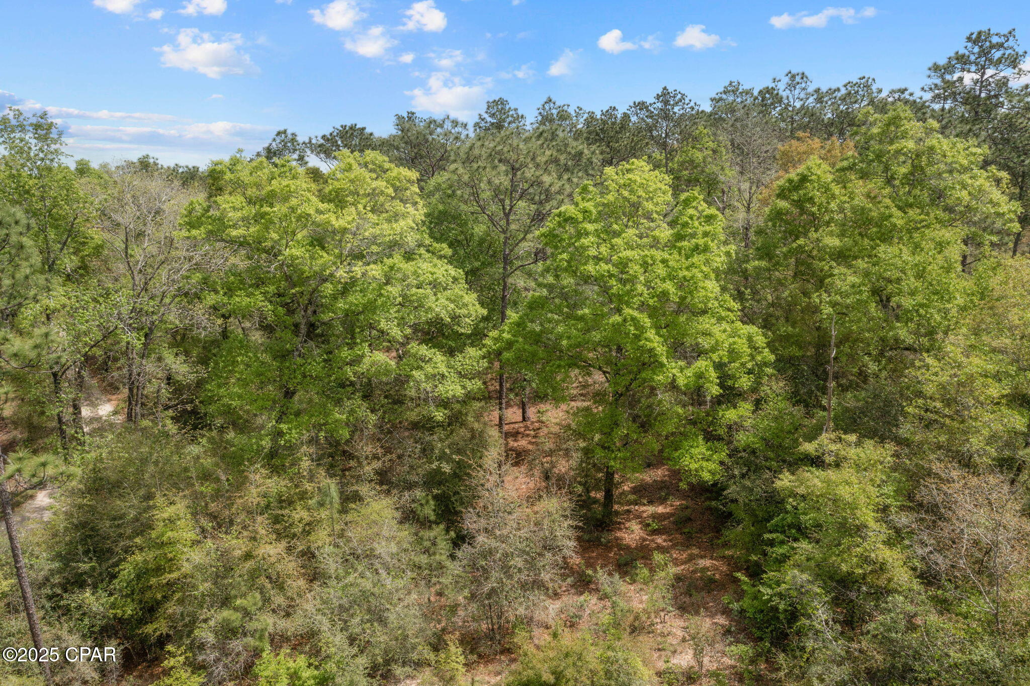 XXX Spring Lakes Road, Chipley, Florida image 19