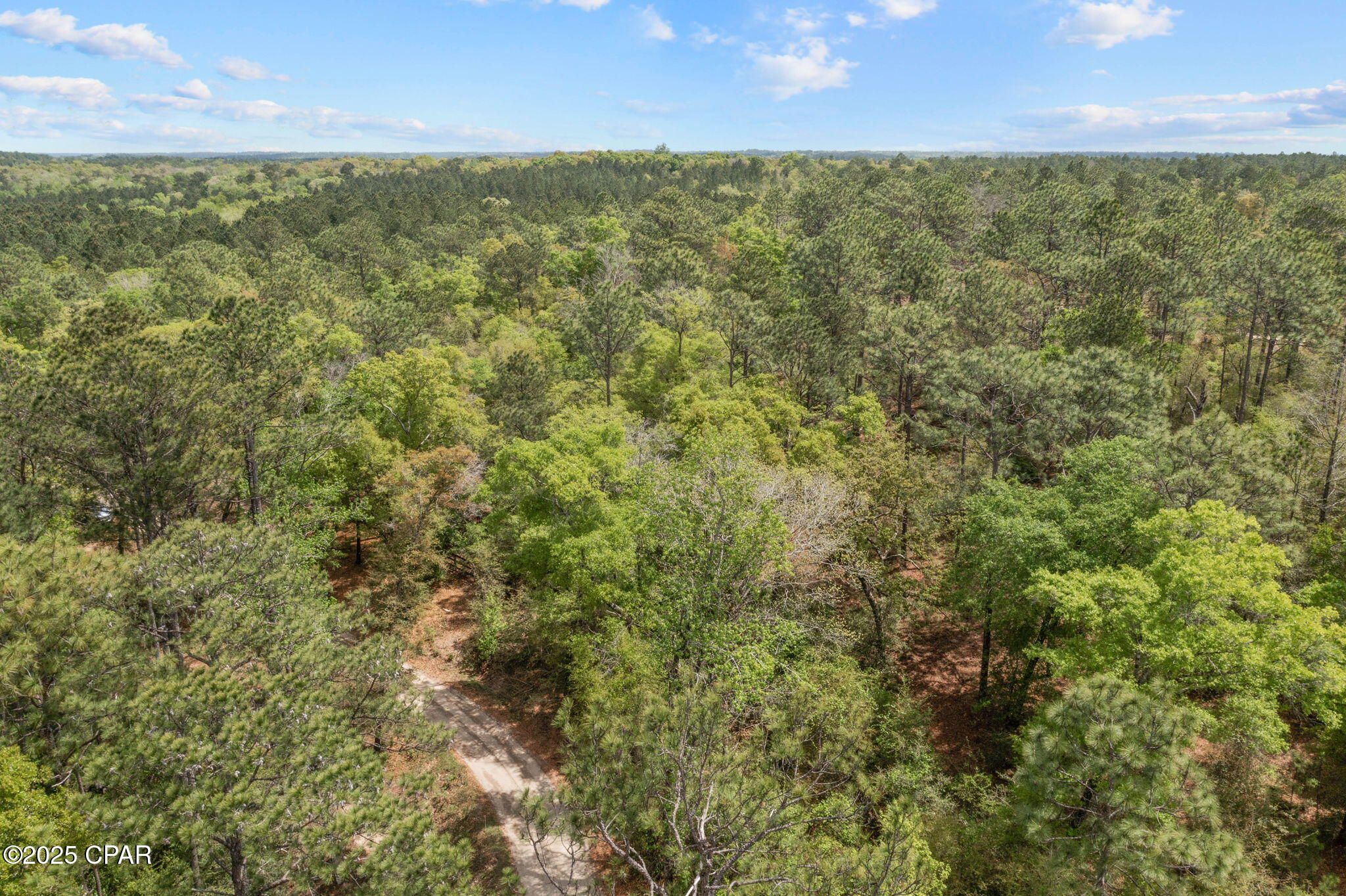 XXX Spring Lakes Road, Chipley, Florida image 20