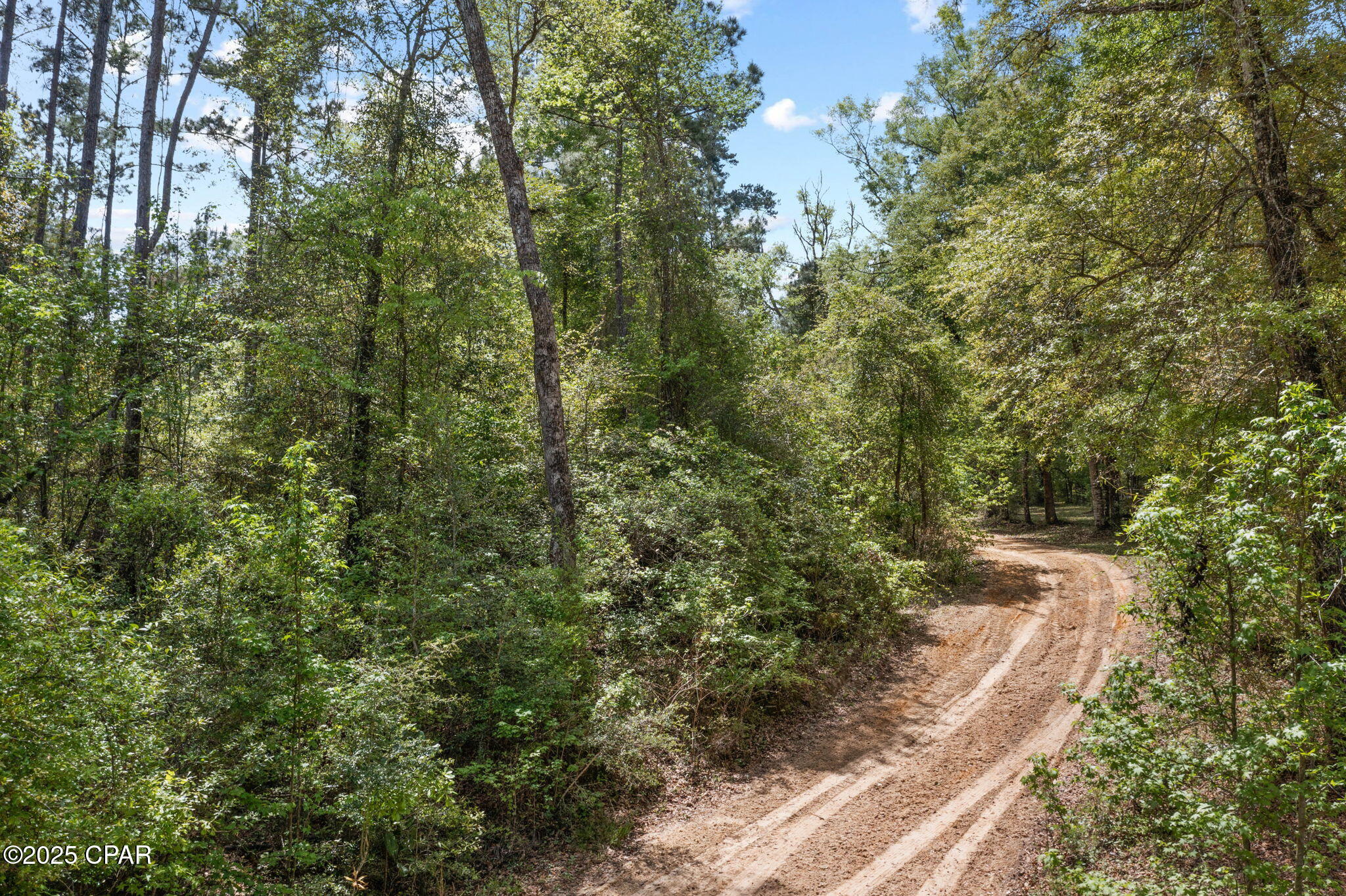 XXX Spring Lakes Drive, Chipley, Florida image 16