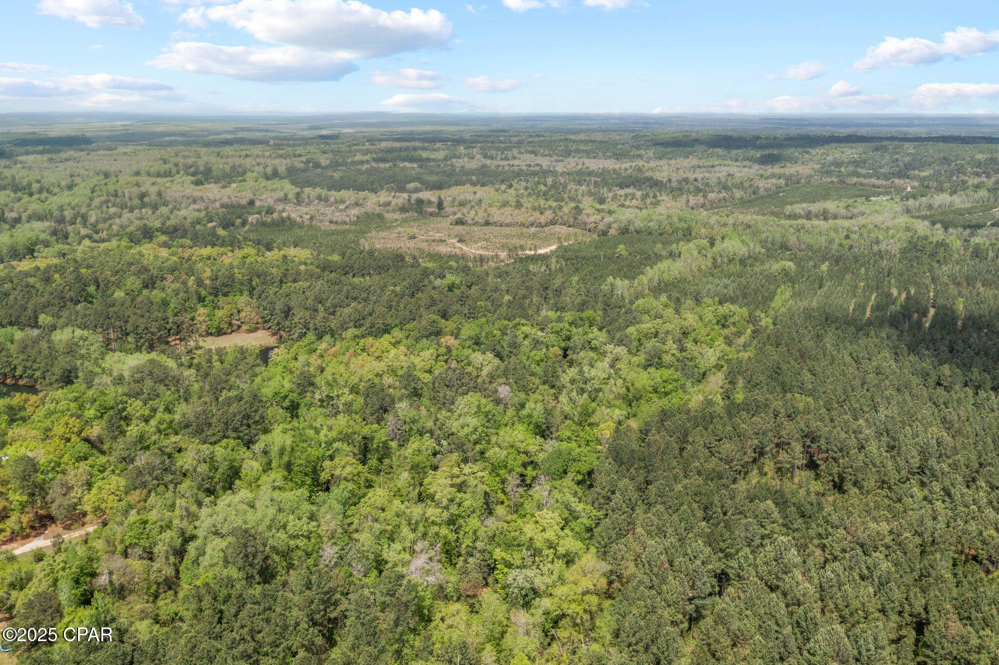 XXX Spring Lakes Drive, Chipley, Florida image 19