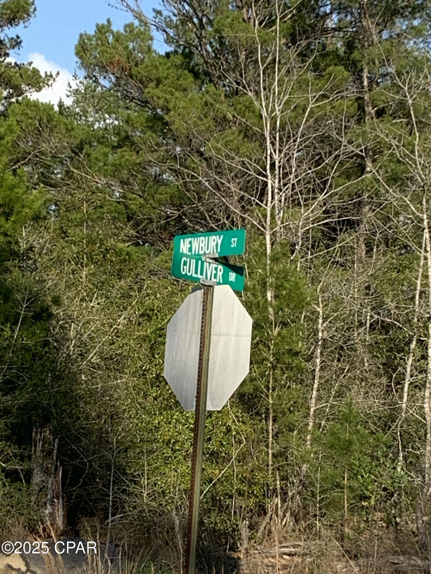Details for Lot 8 Gulliver Drive, Chipley, FL 32428