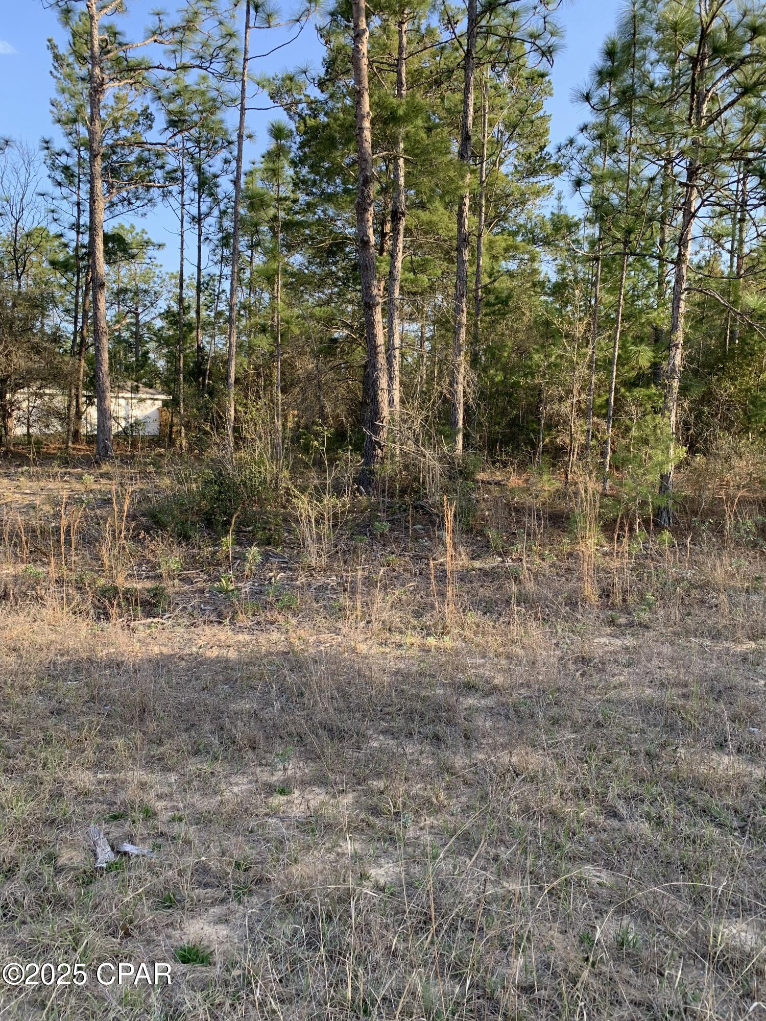 Lot 8 Gulliver Drive, Chipley, Florida image 2