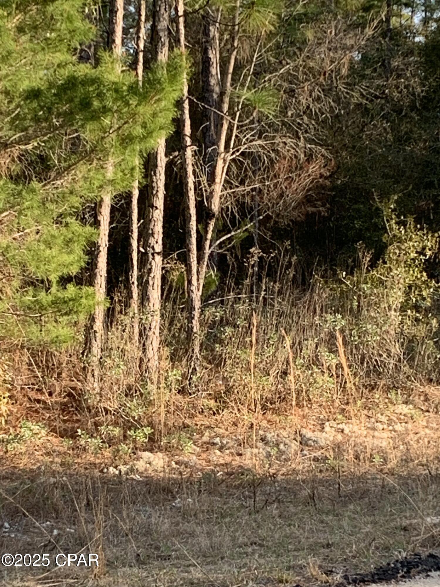 Image 3 For Lot 8 Gulliver Drive