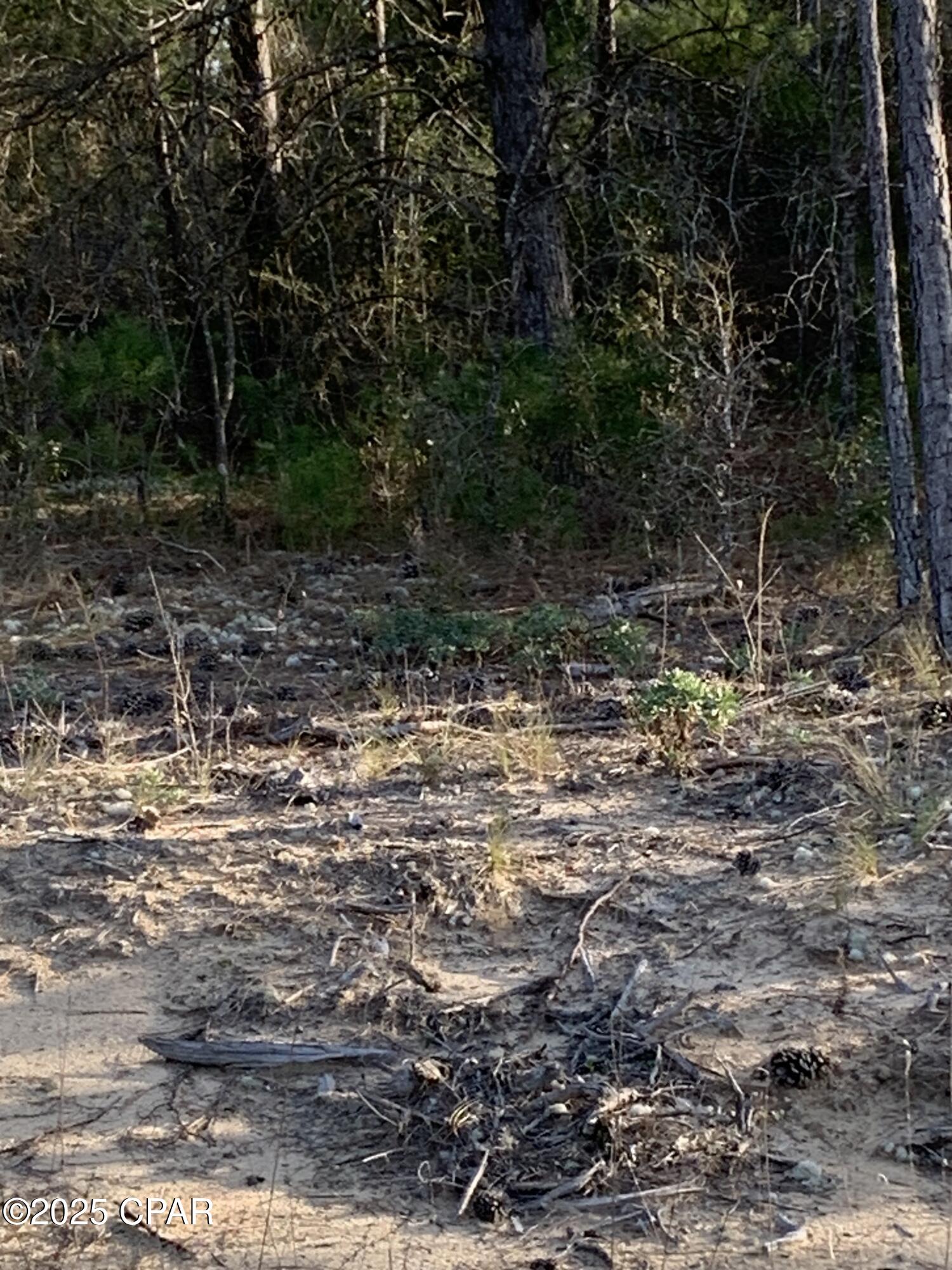 Image 5 For Lot 8 Gulliver Drive