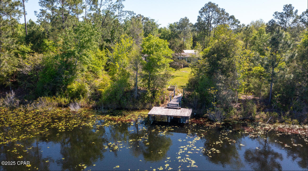 427 Mckinney Lane, Alford, Florida image 14