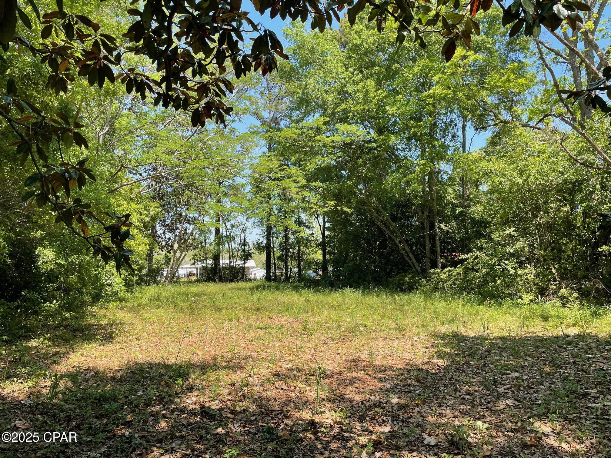 Dalton Street, Chipley, Florida image 6