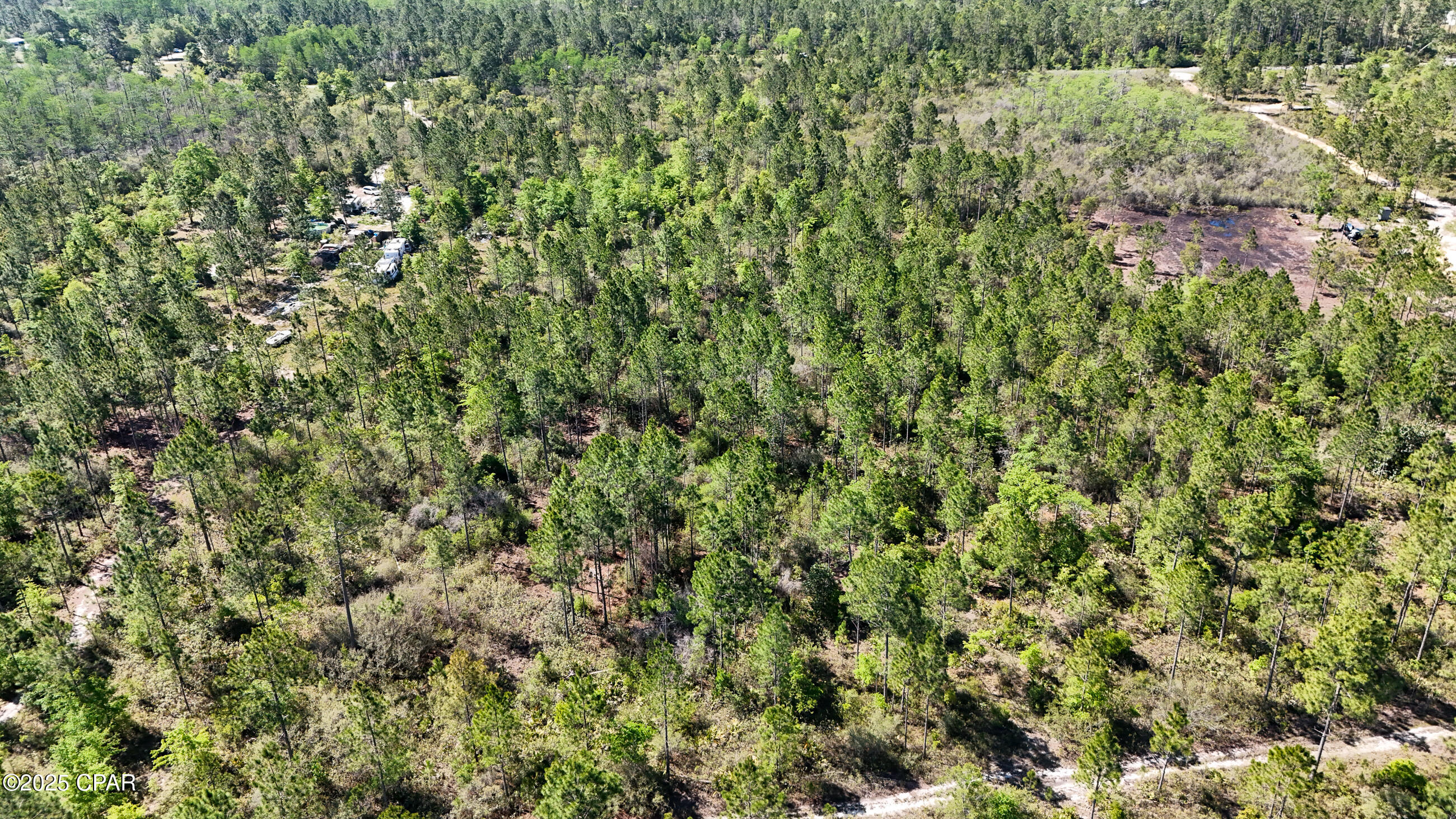 NW Miller Road, Altha, Florida image 10