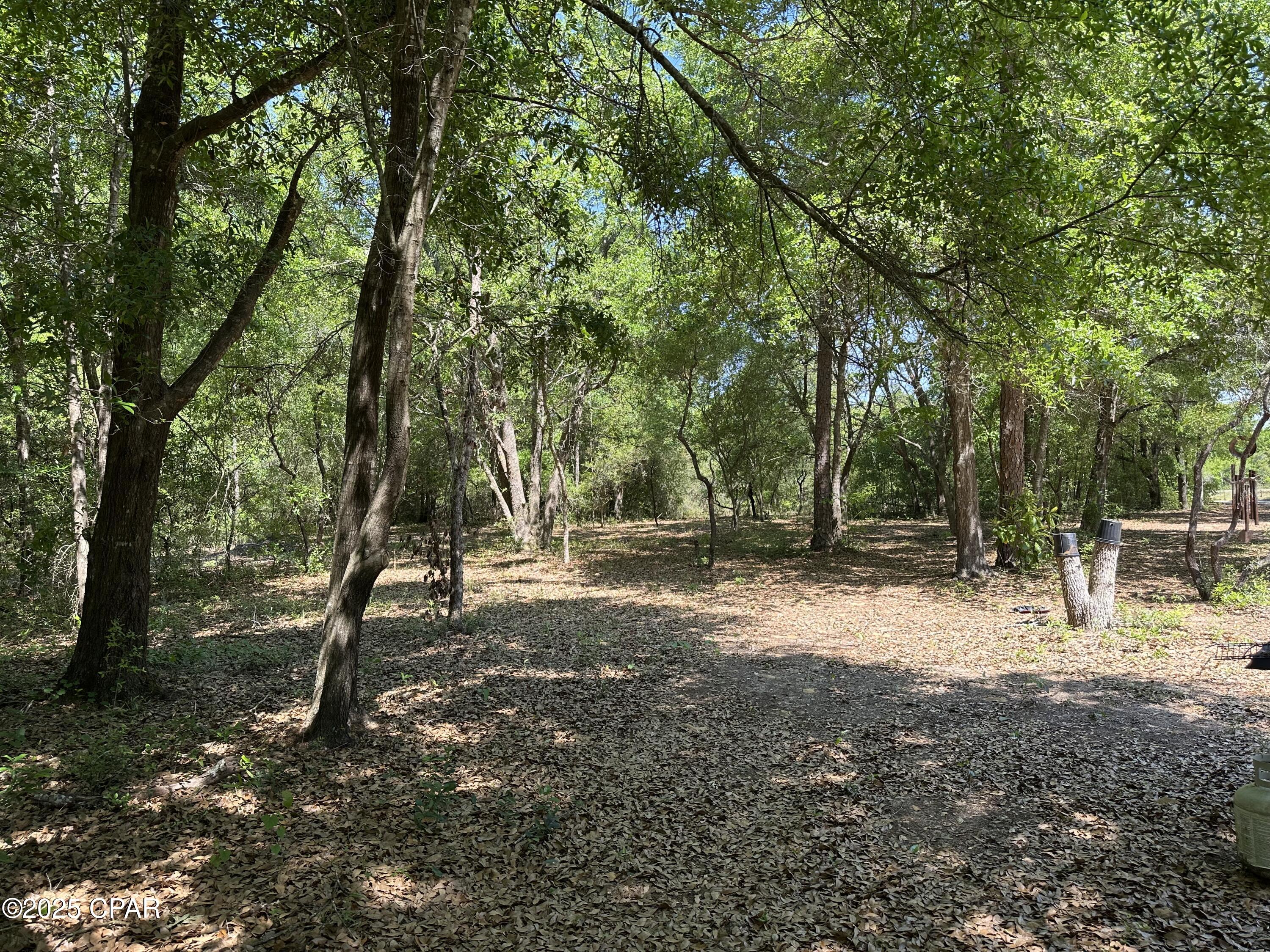 2021 Pike Pond Road, Alford, Florida image 48