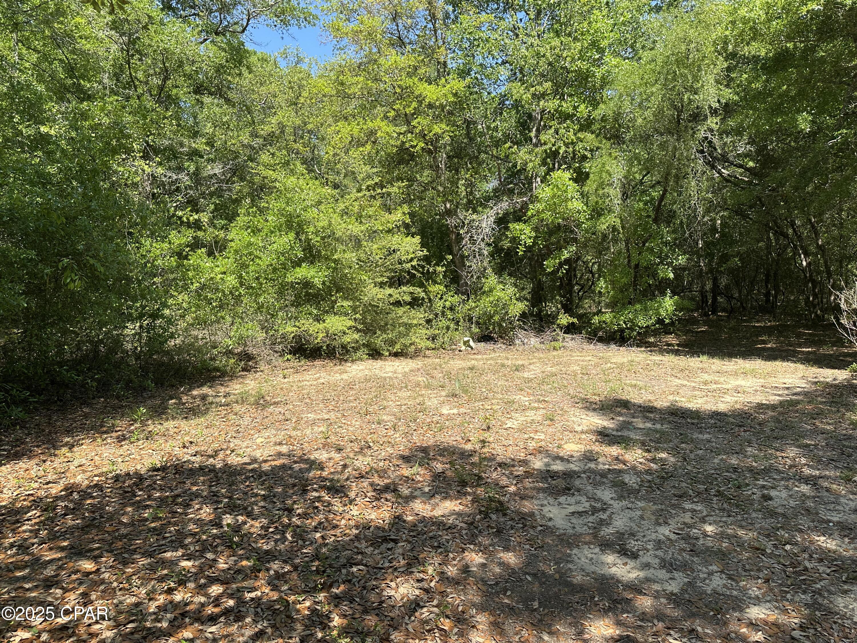 Image 51 For 2021 Pike Pond Road