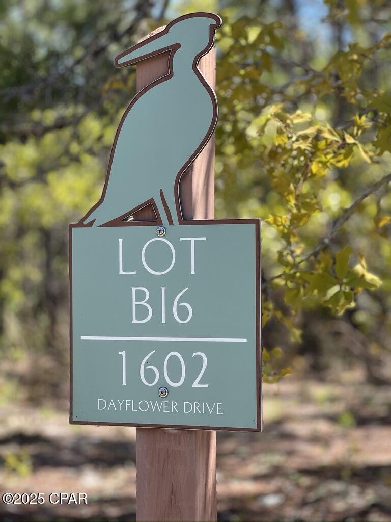 Details for 1602 Dayflower Drive, Panama City Beach, FL 32413