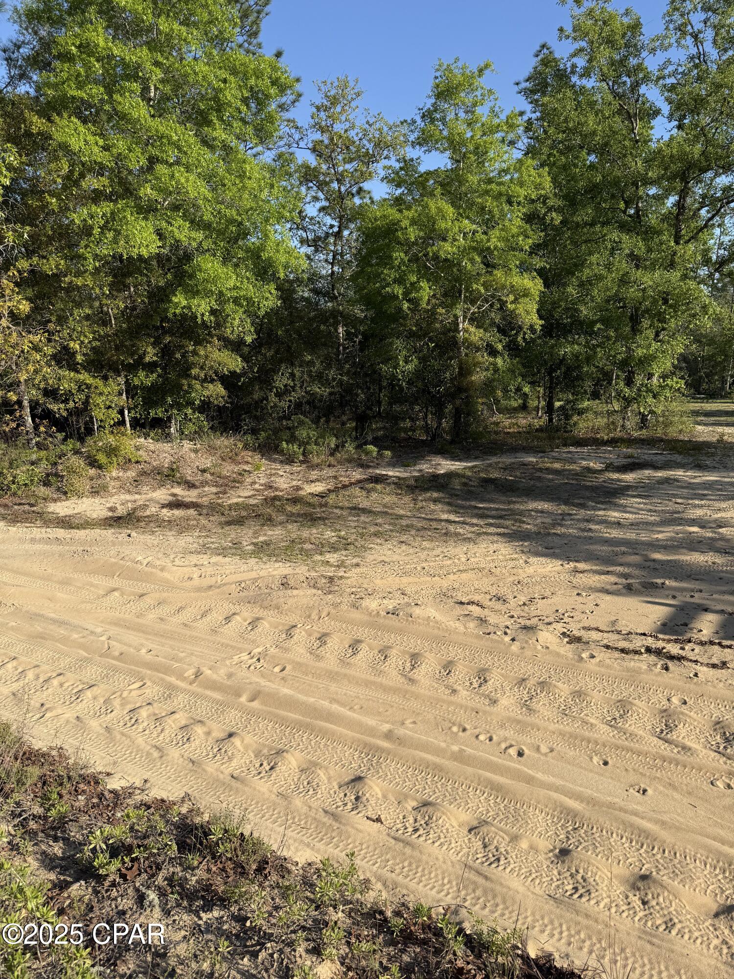 516 Goshun Creek Road, Chipley, Florida image 11