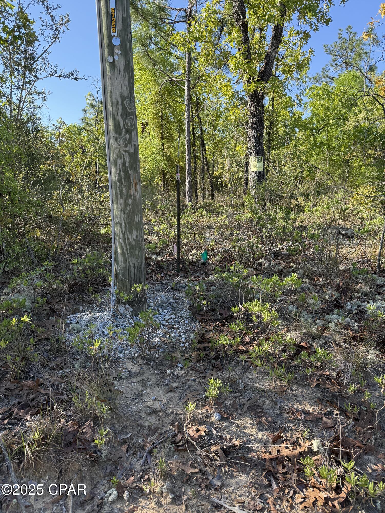 516 Goshun Creek Road, Chipley, Florida image 12