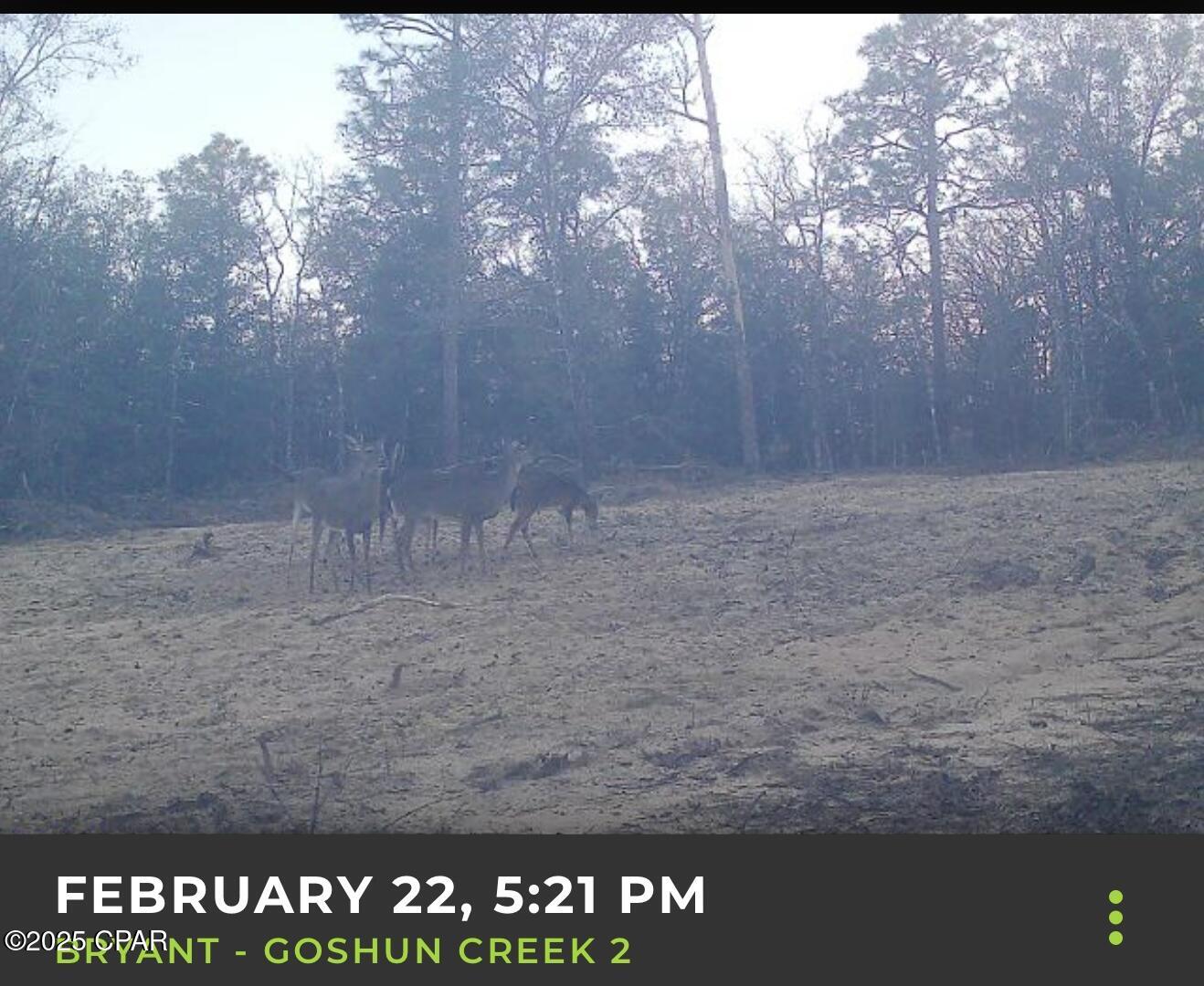 516 Goshun Creek Road, Chipley, Florida image 2