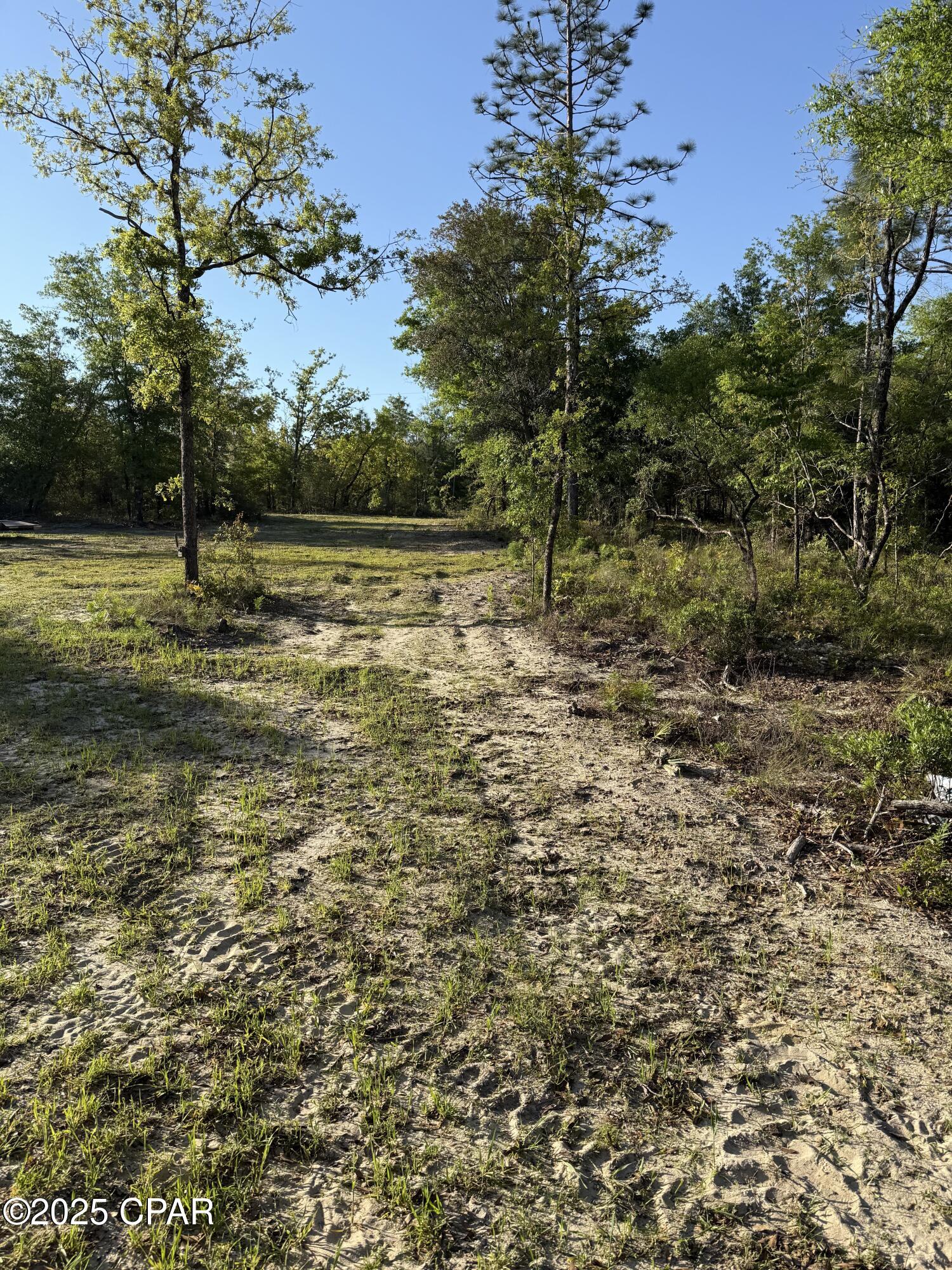 516 Goshun Creek Road, Chipley, Florida image 9