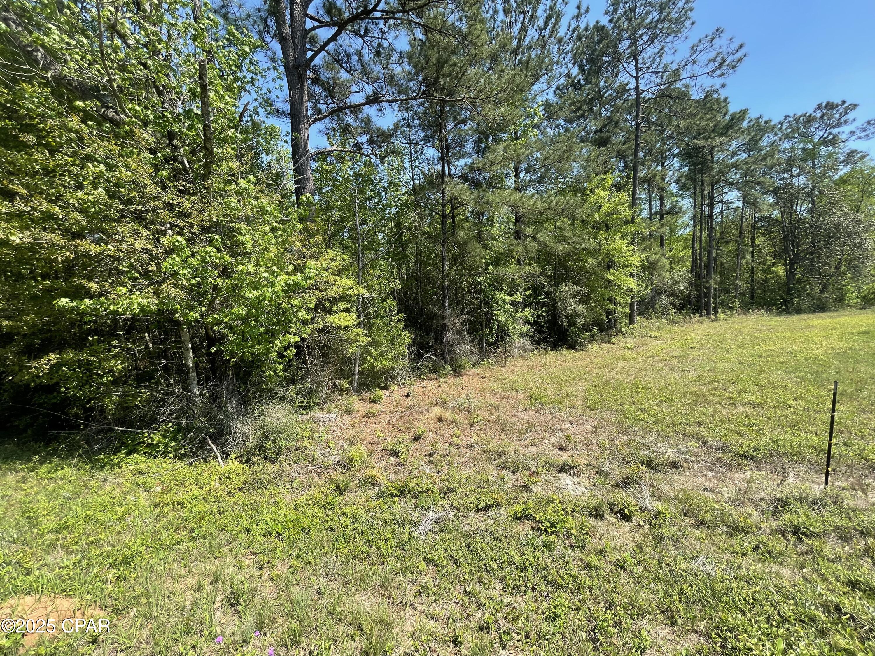 1683 Highway 162 #C, Westville, Florida image 13