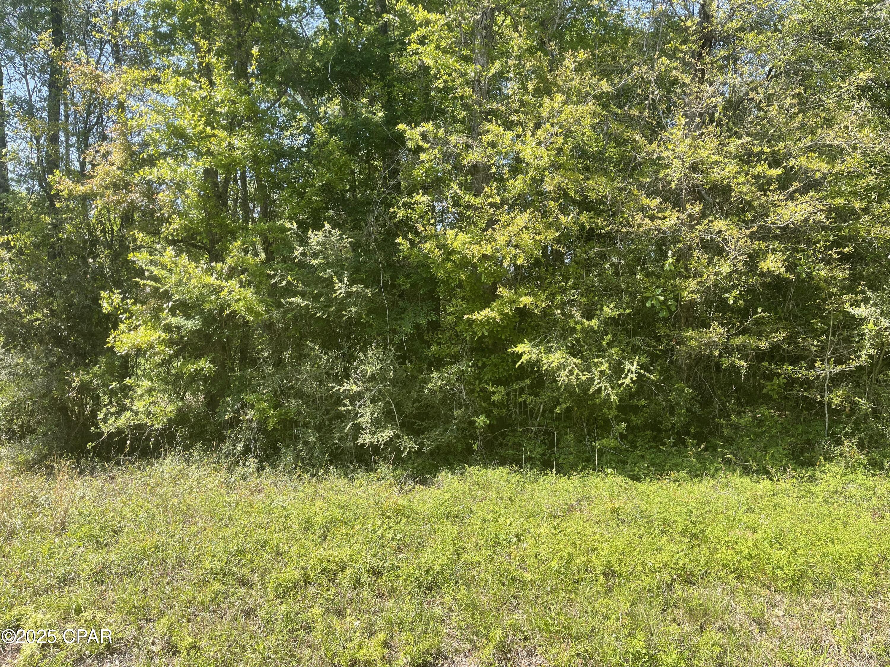 1683 Highway 162 #C, Westville, Florida image 14