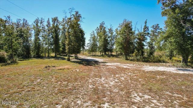 10864 Frink Baptist Church Road, Clarksville, Florida image 12