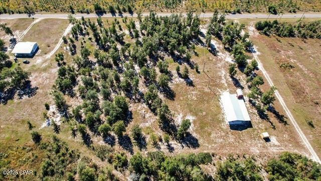 10864 Frink Baptist Church Road, Clarksville, Florida image 3
