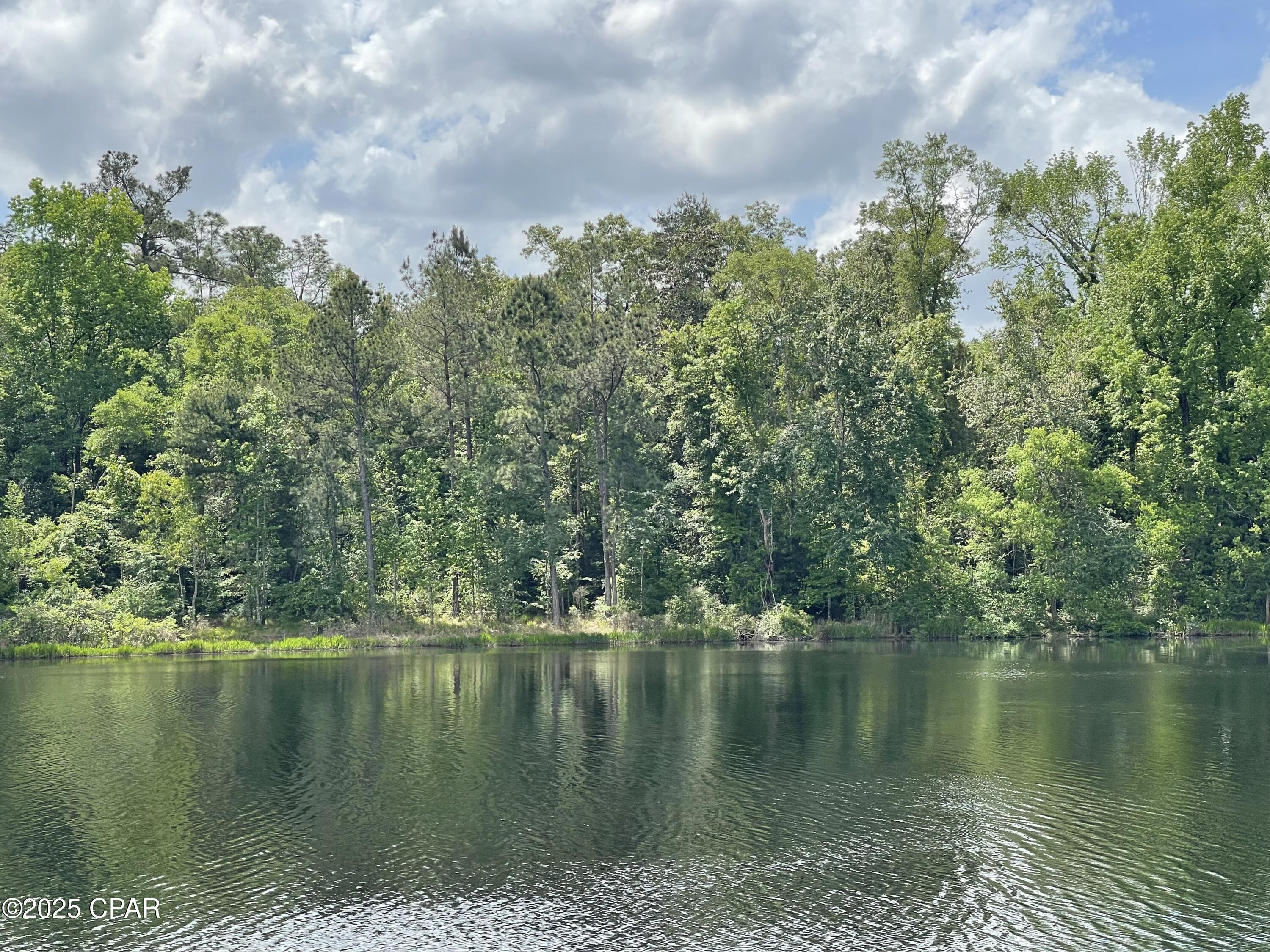 2677 Marian Drive, Bonifay, Florida image 11