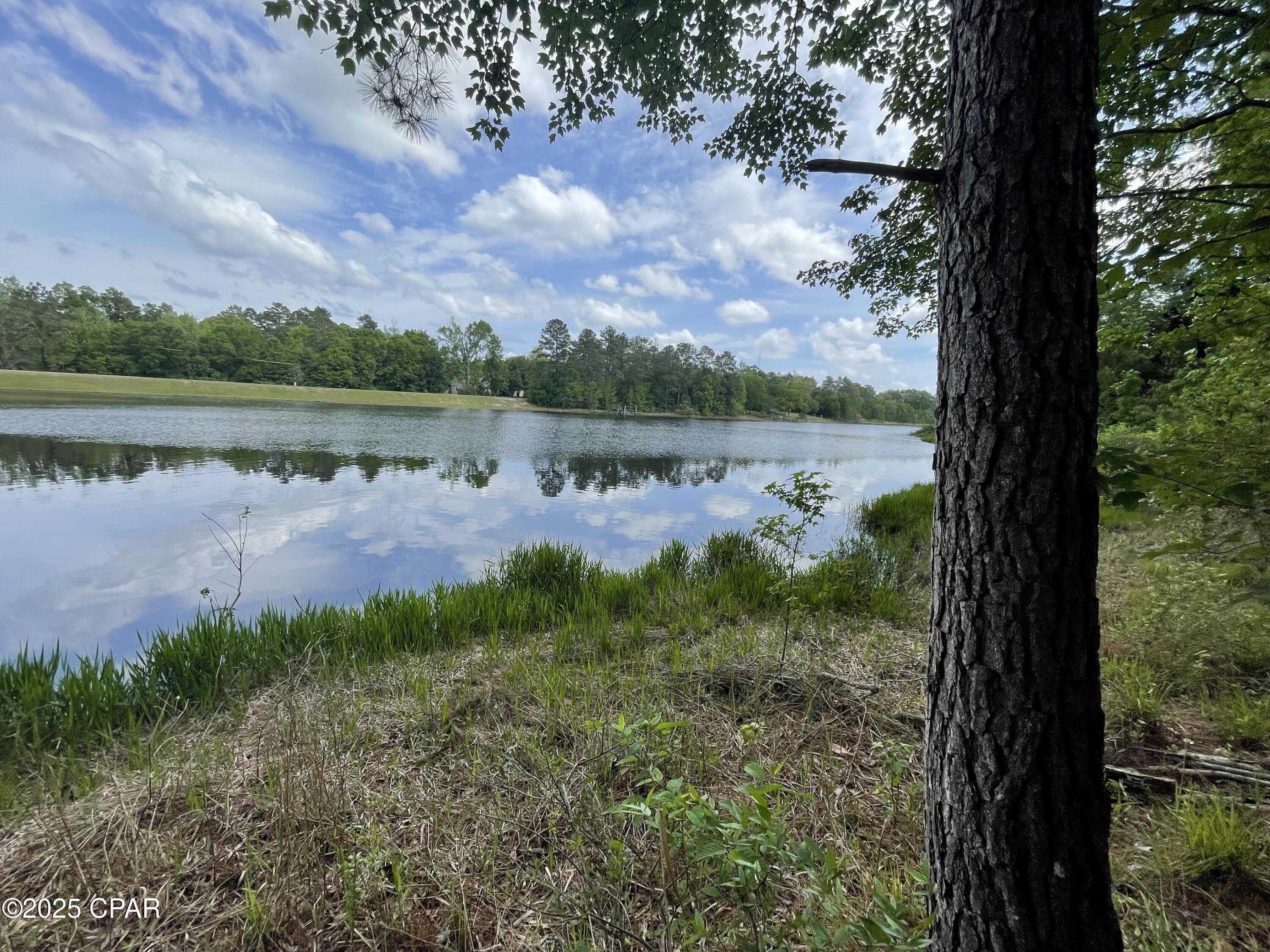 2677 Marian Drive, Bonifay, Florida image 2