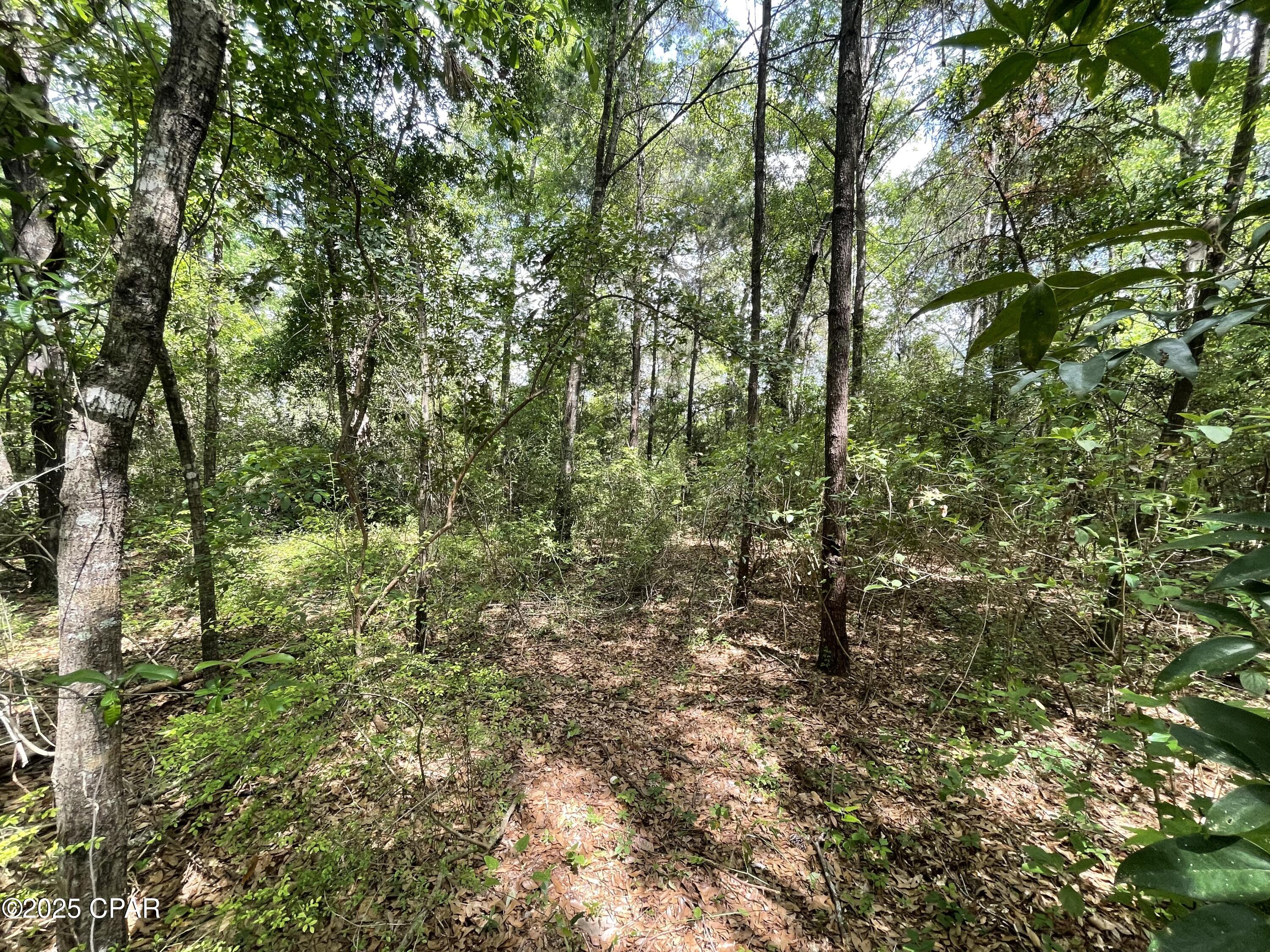 2677 Marian Drive, Bonifay, Florida image 22