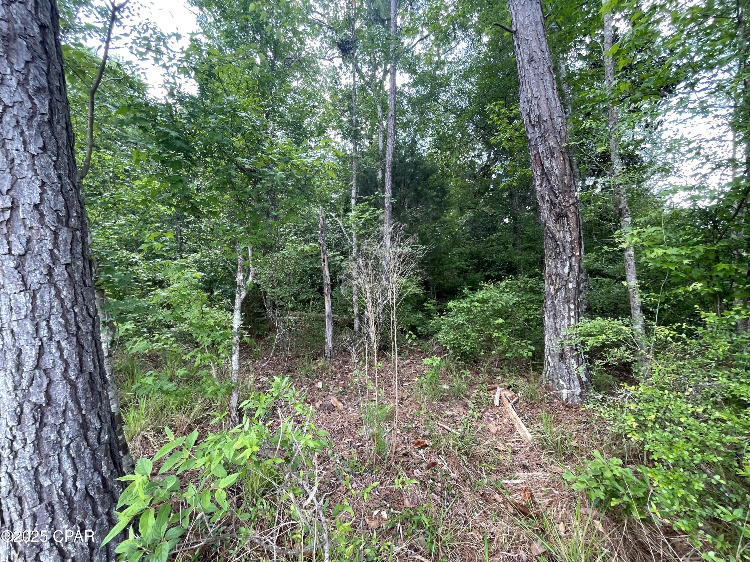2677 Marian Drive, Bonifay, Florida image 24