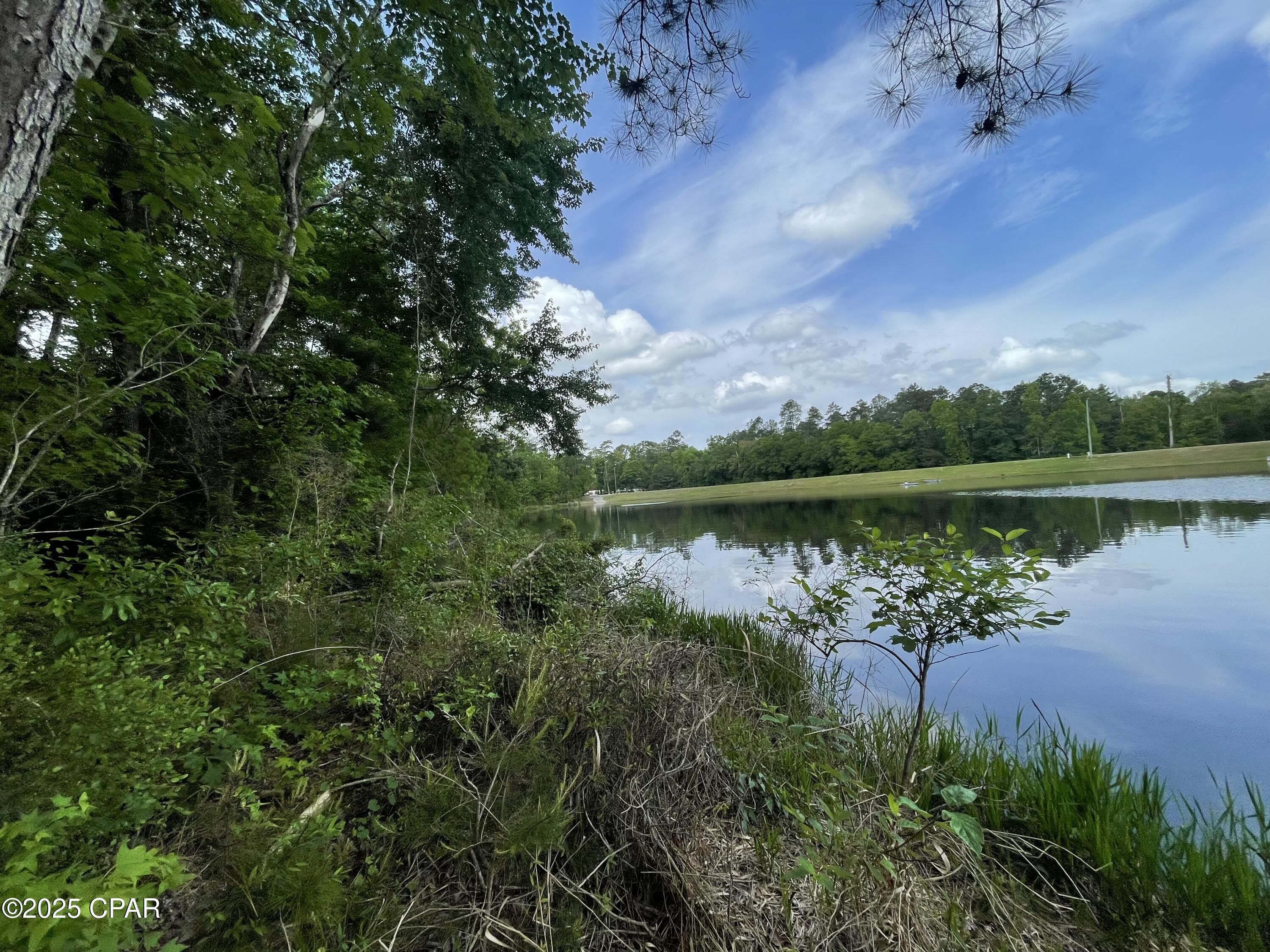 2677 Marian Drive, Bonifay, Florida image 6