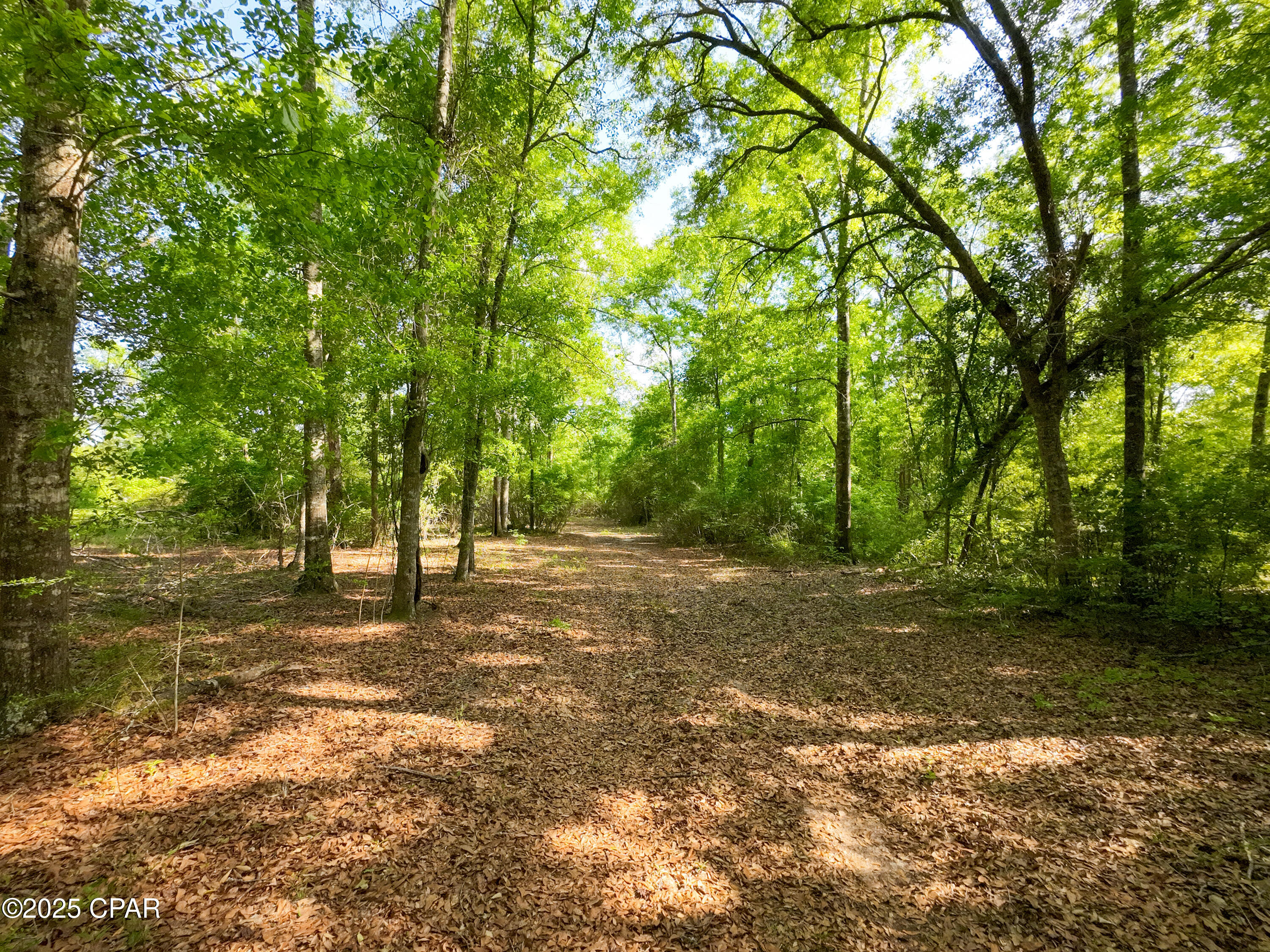 TBD Nearing Hills Circle, Chipley, Florida image 3