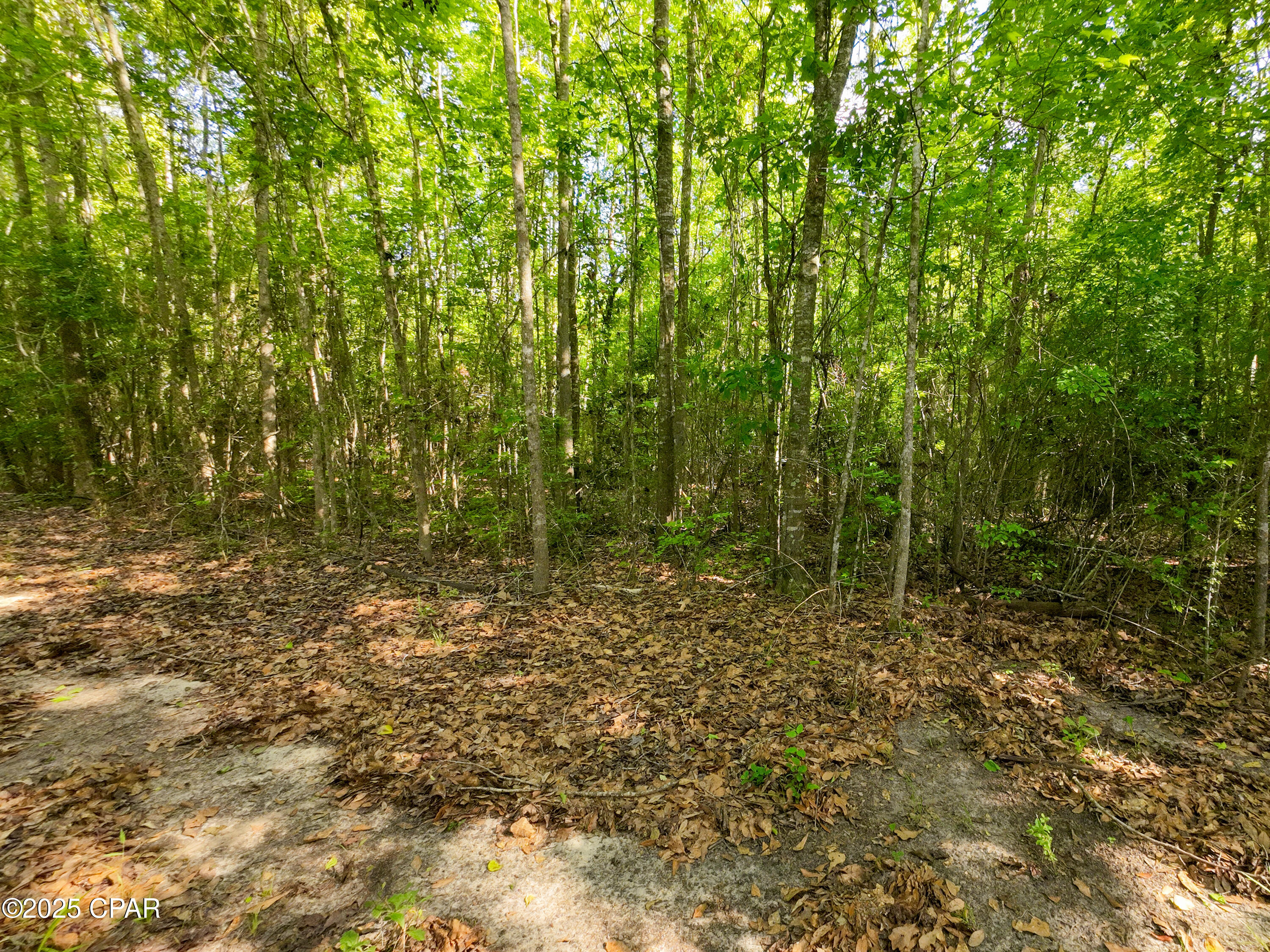 TBD Nearing Hills Circle, Chipley, Florida image 6