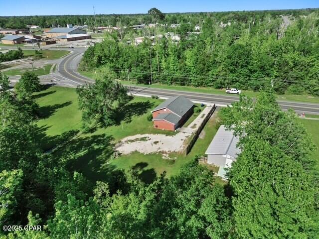 17395 Pear Street, Blountstown, Florida image 37